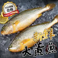 在飛比找鮮拾優惠-【帥哥魚海鮮】SGS認證 富貴鮮嫩大黃魚3尾組(單隻殺清前6