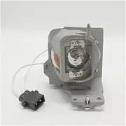 Projector Lamp with Housing BL-FU200D / SP.7D101GC01 for Opt-OMA DAXSZBST DW318e H116 H116ST H184X S322e S334e S342e S343 S343e W318STE