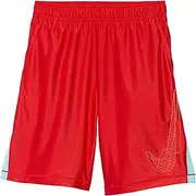 [Nike] Big Boys Dri-Fit Graphic Training Shorts