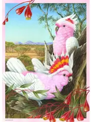 Brolly Books - Major Mitchell's Cockatoos Puzzle 1000pc