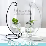 2套裝 綠蘿水培花盆器皿花瓶透明玻璃插花創意水養植物花器客廳裝飾擺件【時尚大衣櫥】