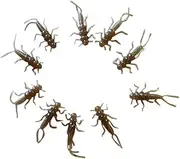 Brown Soft Plastic Stonefly 20 Pack