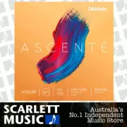 D'Addario A310 3/4M Medium Tension Ascente Violin String Set, 3/4 Scale