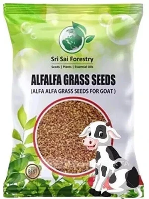 Alfalfa Grass Seebs for Goat - Lucerne Alfalfa Grass Seeb - 250G - Alfalfa Meat