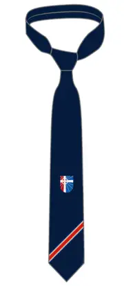 Snr Boys Navy Stripe Tie With Emb