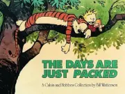 Days are Just Packed by Bill Watterson (English) Paperback Book