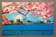 Jefferson Memorial - Washington D.C. Postcard