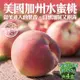 果物樂園-美國加州水蜜桃原裝4盒(4-5入_約450g/盒)