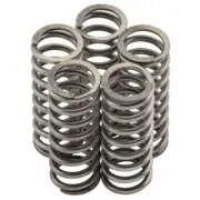 Kawasaki ZX10 B1-2 Tomcat 88-90 NewFren Clutch Spring kit MO073F