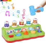 Interactive Pop up Toys with Music & Light, Montessori Cause and Effect Toys for
