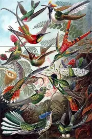 12 x 18 Birds Tile Mural Kitchen Bathroom Wall Backsplash Ceramic