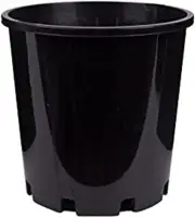 Decor Growers Indoor Seedling Plant Pot, Black, 200 Mm Size