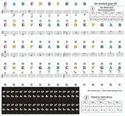 Piano Keyboard Sticker for 37,54,61 Keys,Removable PVC Piano Keyboard Sticker Note Label/323