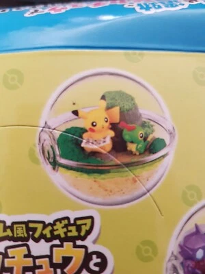 1 x caterpie and pika box Pikachu Terrarium Pokemon Holiday Adventure Vacation
