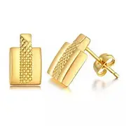 Titanium Gold Earrings For Men