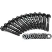 Aeroflow Small Block Ford Intake Bolts 289 302 351 Windsor 12 Point 12 Pack Aeroflow - AF37-1210
