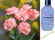Carnation - Reed Diffuser Refill