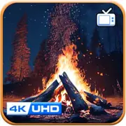 Campfire Chill Ambience With Relaxation Campfire Sounds Effect TV Screensaver