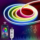 LED Neon Strip Lights 5m - USB Powered, App-Controlled Color Changing