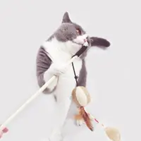在飛比找ETMall東森購物網優惠-貓咪玩具逗貓棒仙女磨牙棒小貓咪斗貓棒羽毛寵物布偶貓藍貓用品
