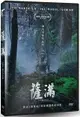 【停看聽音響唱片】【DVD】薩滿