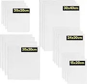 ARTME 20pcs Canvas Panels (15x20-4pk, 24x30-4pk, 30x40-4pk, 20x20-4pk, 30x30-4pk) 3mm Blank Artist Canvas Board / 280GSM/ 100% Cotton/Triple Primed/Acid Free/Medium Grain- Acrylic & Oil Painting