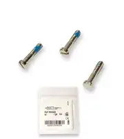 Ray Ban RB4330 Chromance Silver Replacement Temple Hinge Screws Genuine