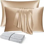 DISANGNI 100% Natural Mulberry Silk Pillow case for Hair and Skin with Hidden Zipper 22 Momme Both Sides Real Silk Pillow Case (2pc Standard Size 20" x26", Gold)