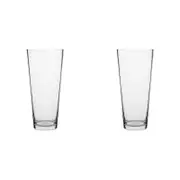 2PK Ecology Fleur Conical Glass Vase Decorative Flower Vessel 30cm
