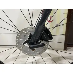 Trek DOMANE SL5 碟煞公路車環法石板路王者