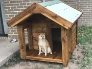 DOG KENNEL WITH BALCONY