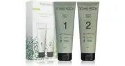 Tomas arsov Green tea Christmas box
