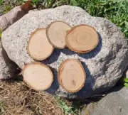 Wooden Log Discs #1 Wood Slices 2-11cm Round Wedding Coasters Saw cuts for DIY