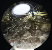 Natural Clear Sun Sunflower Titanium Crystal Quartz Crystal Sphere Balls Healing