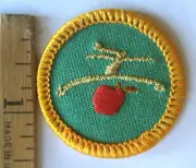 Girl Scout Junior PASSPORT HEALTH FITNESS IP BADGE Council Own Patch Washington