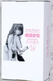 Nikkan Girl Sakura 1/6 Height 204mm Painted Figure From Japan