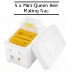 5 x Queen Bee Mating Nuc Hive Beekeeping Polystyrene Rearing Nuc inc Frames