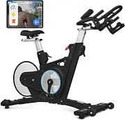 Lifespan Fitness SM900 Commercial Magnetic Spin Bike
