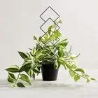 4pcs Metal Plant Climbing Frame Reusable Flower Pot Holder Indoor