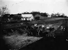 Road Construction Creswick District Victoria 1900 Old Historic Photo
