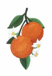 Fruits [Oranges] Embroidered Iron on/Sew Patch [4.8"x"3"]