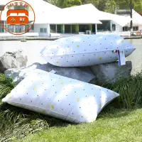 在飛比找蝦皮商城優惠-防螨枕頭 3D立體羽絲絨枕 舒柔棉 蓬鬆 透氣枕 民宿枕頭 