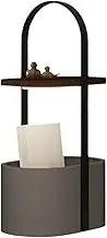 Indoor Floor Lamps Floor Lamp with Shelves by Solid Wood, Modern Shelf Floor Lamp with 3 Color Temperature for Living Room, Bedroom Standing Lamp(Gray)