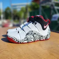 在飛比找蝦皮購物優惠-nike lebron james zoom iv 4代 籃