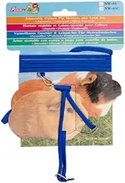 Small Animal Care Harness and Lead Set for Guinea Pig, Blue