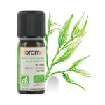 茶樹精油【TEA TREE】FLORAME／法國／南非／AROMA／芳療／精油／ESSENTIAL OIL