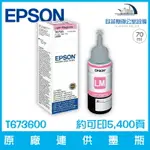 愛普生 T673600 原廠連供墨瓶 淡洋紅色 容量70ML 約可印6,000頁