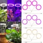 SANSI 15W LED Plant Grow Light Bulb Full Spectrum 200W Equivalent Indoor Plants
