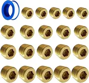 FloFlex Brass Pipe Plug Kit 21pcs, 1/8", 1/4", 3/8", 1/2" NPT Male