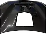 Compatible For BMW F87 M2 M2C 2016 2017 2018 2019 2020 Real Carbon Fiber Car Front Transparent Engine Hood Vent Cover(Double Carbon Fiber)